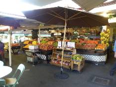 10_Hawaii_3 503.jpg (61321 bytes)